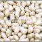 Blanched peanut kernels new crop