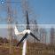 Small 100w 200w 300w wind dynamo system