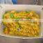 Manufacturer Ginger Supplier Fresh Ginger