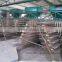 satinless steel metal quail cage for laying hens