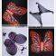 wholesale butterfly wings costume carnival cosplay butterfly wings
