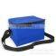 Customized top quality various picinic cooler Bag