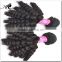 No Shedding No Tangle Unprocessed baby curl hair extensions