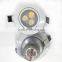swivel downlight