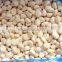 IQF peeled garlic/frozen peeled garlic/ frozen garlic