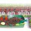 [Handy-Age]-Garden Grow Kit With 24 Pots (GN2000-001)