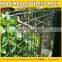 hdpe Square Garden mesh / Green HDPE Garden Mesh Fencing