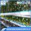 Low Cost High Efficiency Greenhouse Hydroponic System for Flower and Vegetable