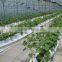 16m blue/white, black/white silo sheeting, silage cover ,silo cover