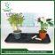 2015 hot sale China Professional manufacturer for plastic shoe tray from Factory
