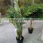 Indoor artificial palm trees plants decorative for sale