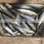 Sardine(Sardinella Longiceps)