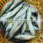 frozen pacific mackerel fish newest