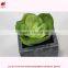 Artificial min bonsai potted wholesales artificial mini plant.Chinese factory