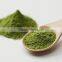 High Quality Matcha Green Tea Powder in Manufactory price
