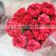 Hot Selling Natural Carnation Flowers Single Head in China