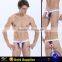 Factory price  express sexy lingerie underwear panty young boy seamless thong