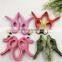 New design animal shape lovely plastic beach towel clips