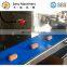 2017 automatic churros processing food maker encrusting making machine