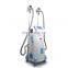 Renlang Vertical Fat Freeze Slimming Technology Hot Sale Machine Model Price