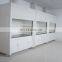 Laboratory fume hood with fume scrubber lab fittings and PP sink water faucet