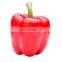 frozen red pepper frozen red chili with good quality and moderate price in China