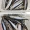 Hot sale IQF frozen sardine fish for export for bait