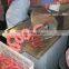 High Speed Sausage Twister/twisting Machine With Factory Price