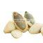 Online Wholesale Price Organic Snow White Shine Skin Pumpkin Seeds Kernels With Cheap Price