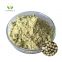 100% Organic Hemp Seed Protein Powder Wholesale High Quality Hemp Seed Extract Powder
