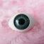 Toy Accessories Plastic Oval Doll Eyes Acrylic Fixed Eyes