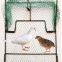 50x60cm Bird Nets Humane Traps Sparrow Bird Pigeon Quail Humane Live Catching Bird Cage Size