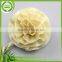 flower1GB USB Thumb Drive Disk