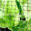 plant climbing netting