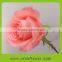 cheap rose price 0.2$ per piece cut flowers for wholesale