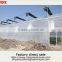 China cheap greenhouse