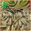 Health Food Scientific Name Of Seeds Sunflower