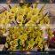 High quality latex orchid yellow phalaenopsis orchid