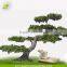 factory price fake fast supplier artificial pine tree for decoration