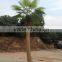 Artificial Outdoor Coconut Palm Tree for Landscaping Decor