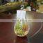 Artificial Plants Succulent Plant Hanging Glass Terrarium