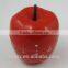 custom 2016 hot kitchen digital timer with magnet on the back/fruit shape kitechen timer olock