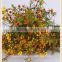 china wholesale outdoor fresh cut wintersweet plants