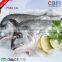 High quality Ice Flake Machines Manufacturer For Sale