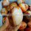 Factory Price Carnelian Agate Eggs Easter Eggs Gifts