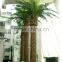 Artificial Tree For Palm Tree Large Landscape Tree Date Palm Customized Date Palm Tree Phoenix Dactylifera