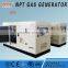 CE ISO approved 5-500kW propane gas electric generator