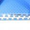 Non-toxic safety fitness 100*100*2.0cm EVA foam wrestling playground mat