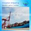 International Sea Shipping, Ocean Logistics Service, Full Container (20''40'')