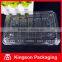 Clear Square Cookie Container, Hinged Lid Cookie Container
